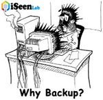 quality web hosting backup feature