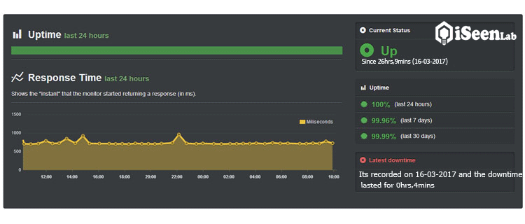 domain racer hosting review uptime monitoring